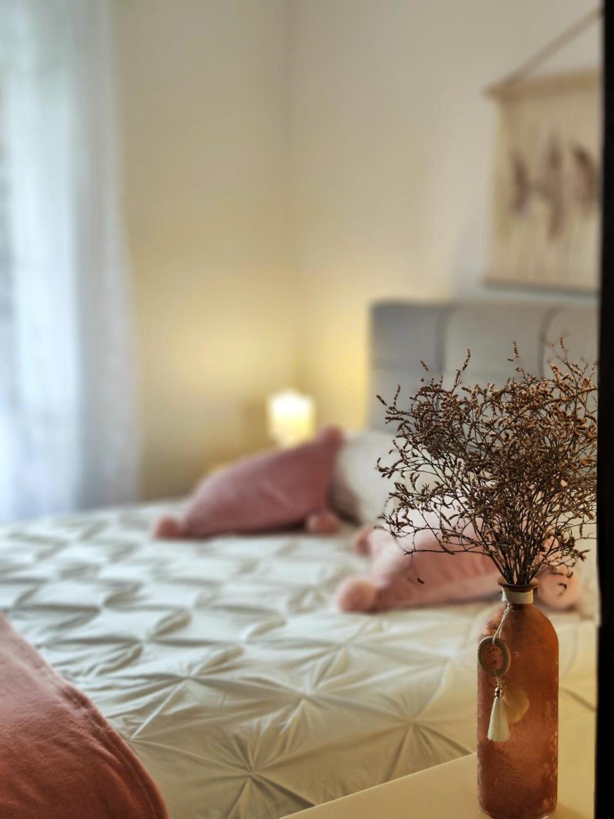 Apartment Mira Врсар Экстерьер фото